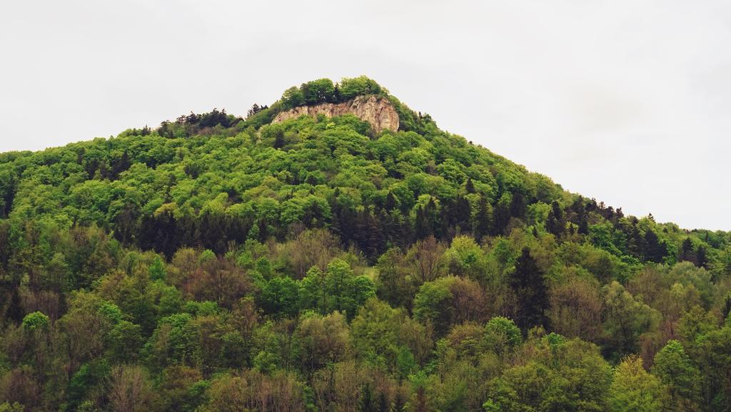 Alb Hotel Schalksburg 알브쉬타트 외부 사진